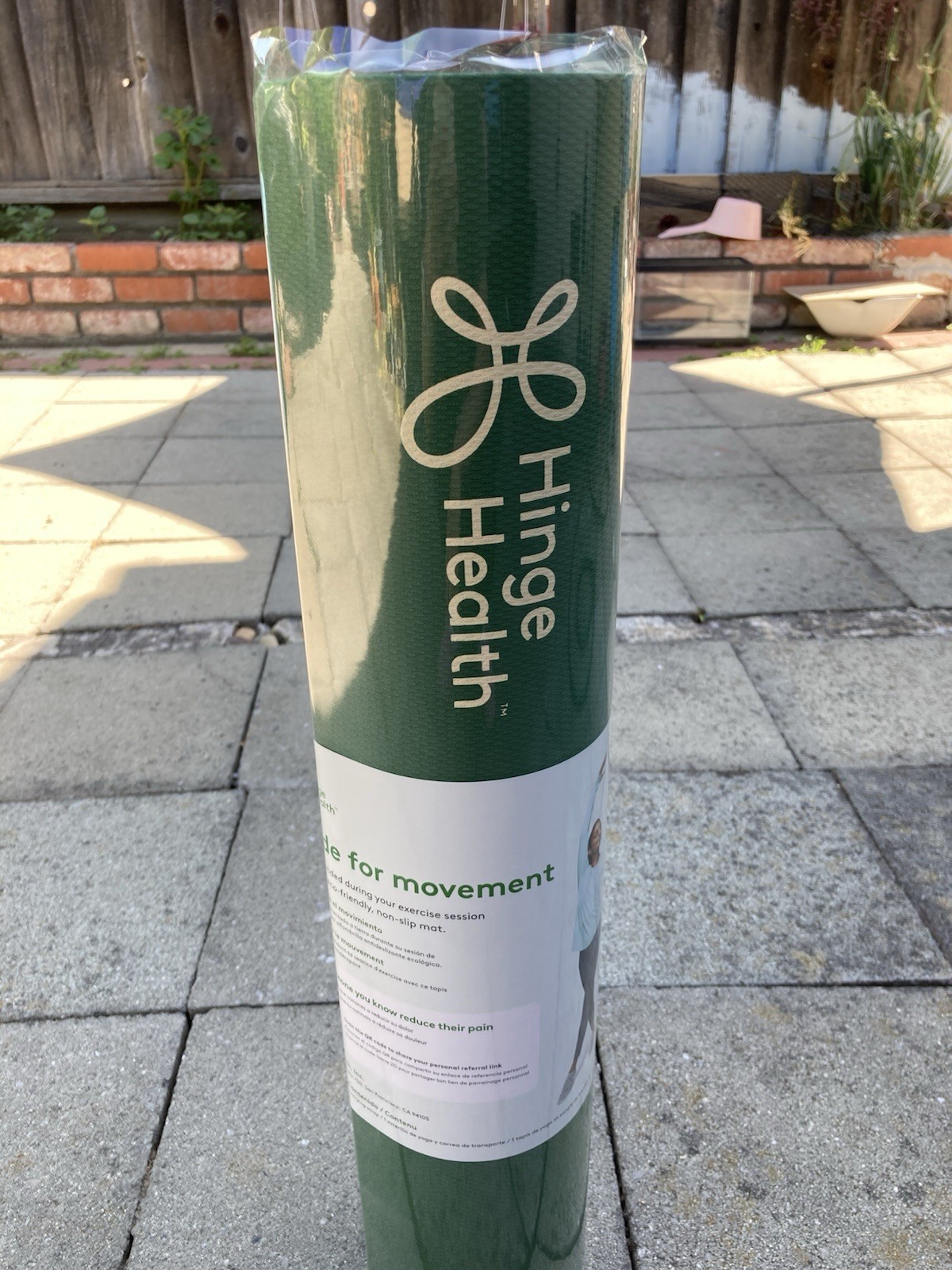 Hinge Health Yoga Pilates Mat