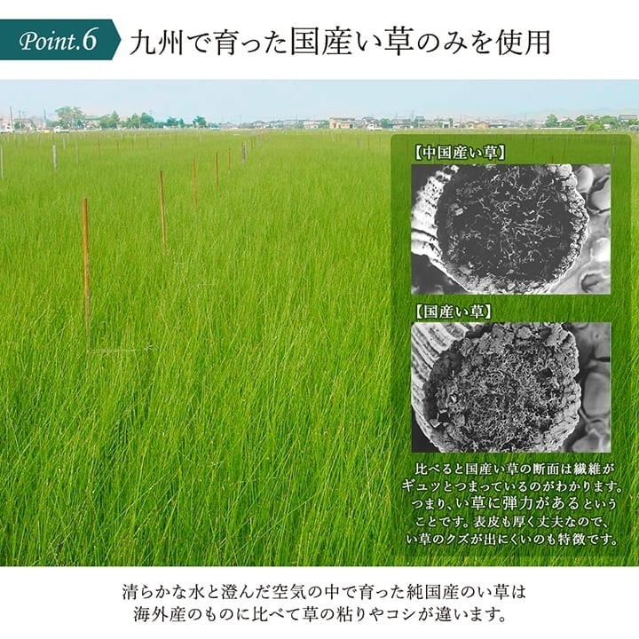 IKEHIKO Tatami Yoga Mat Joy Igusa Rush Grass Denim Style 60x180cm Japan