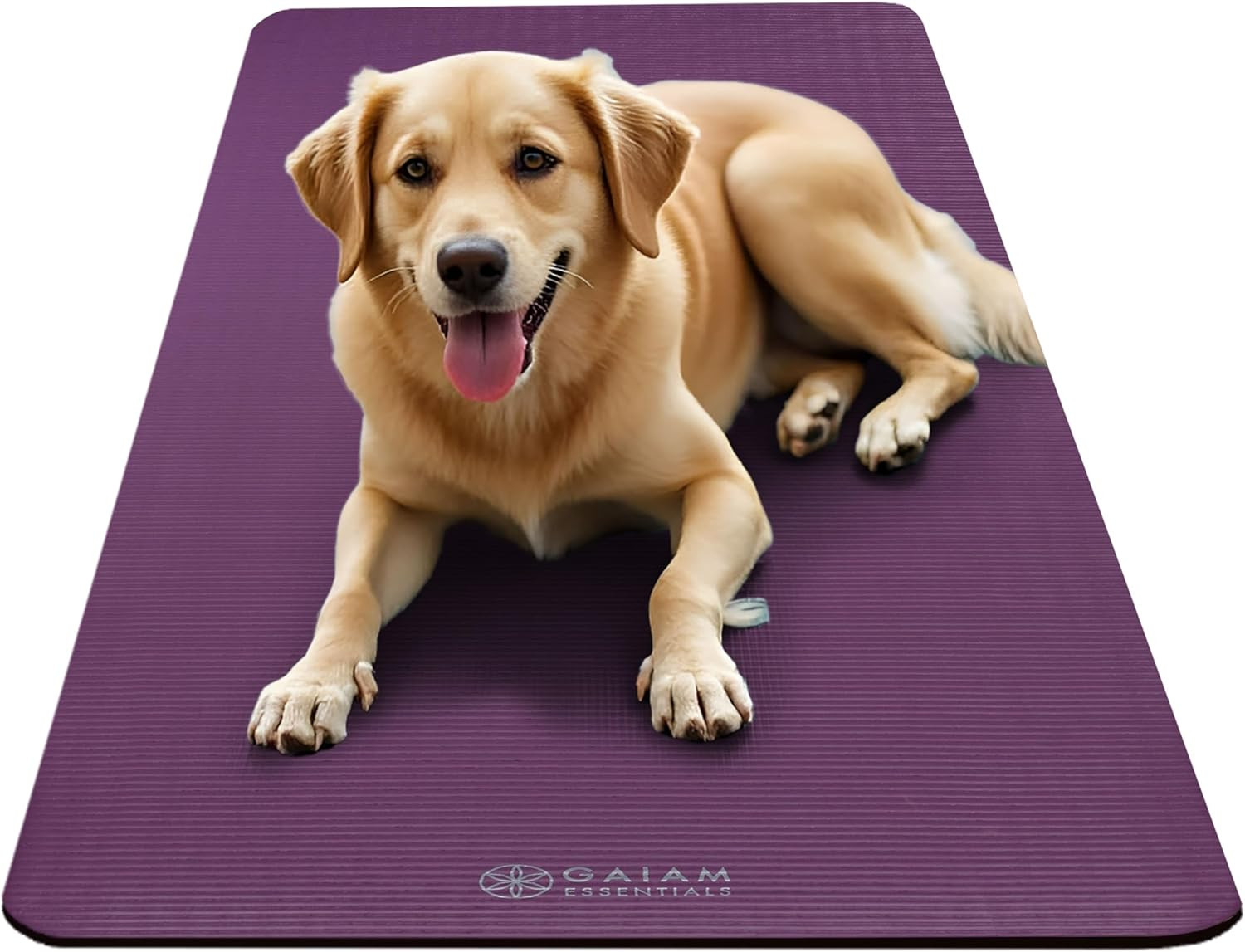 Thick 10mm Yoga Mat with Carrying Strap for Home & Gym Workouts