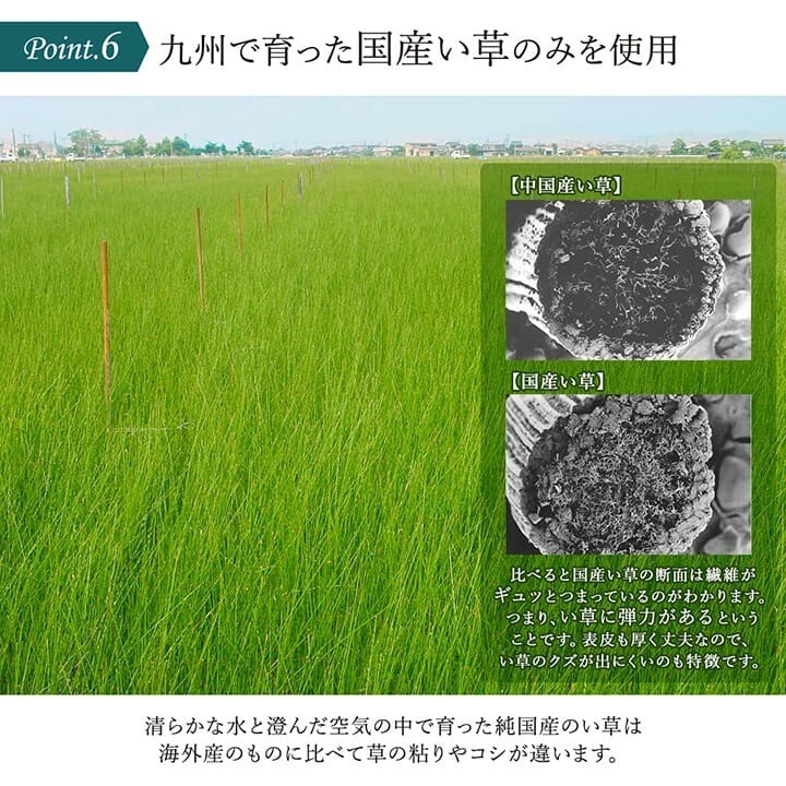 Tatami Yoga Mat IKEHIKO SAKURA Mt. Fuji Design Natural Igusa Rush Grass 70×24″
