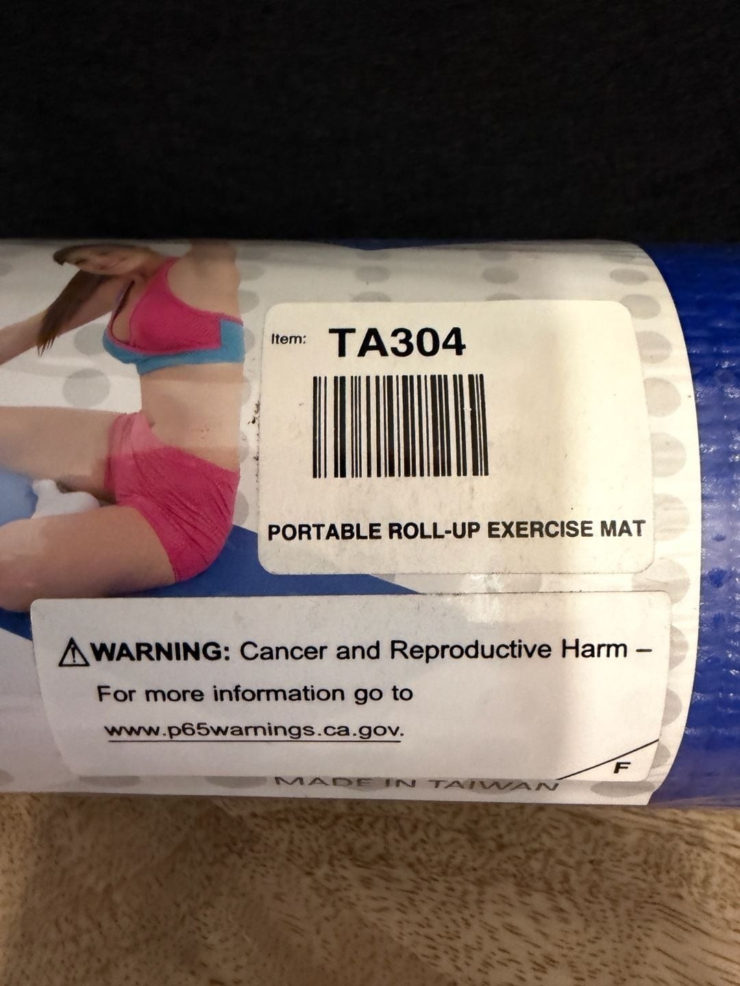 TA304 Portable Roll-Up Exercise Yoga Mat