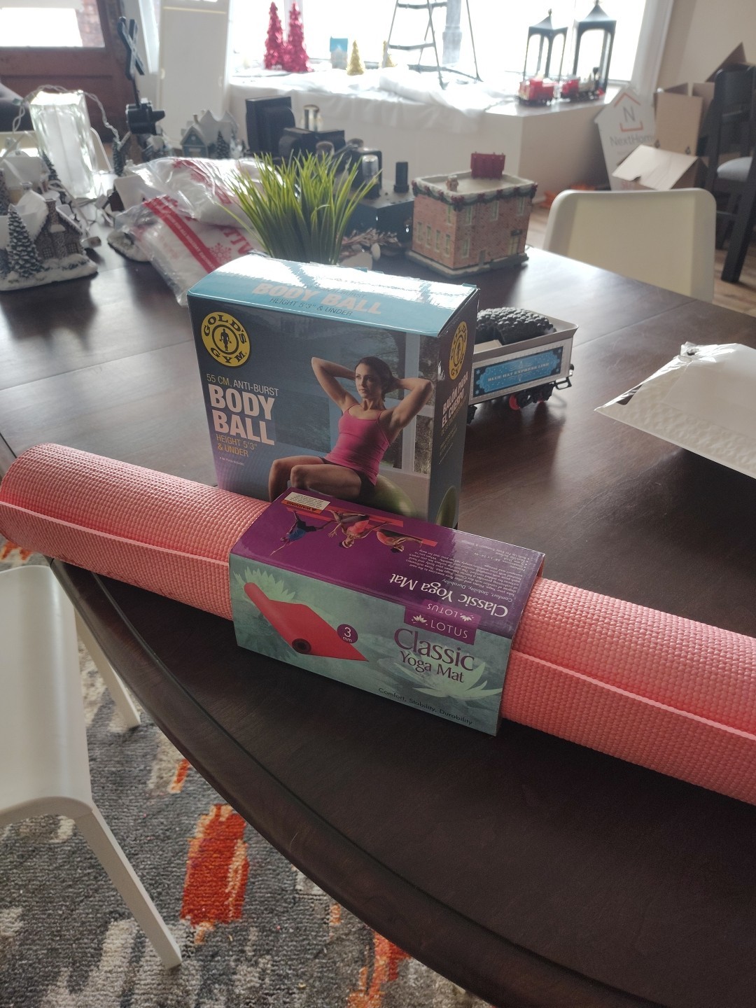 Golds Gym Body Ball And Lotus Yoga Mat