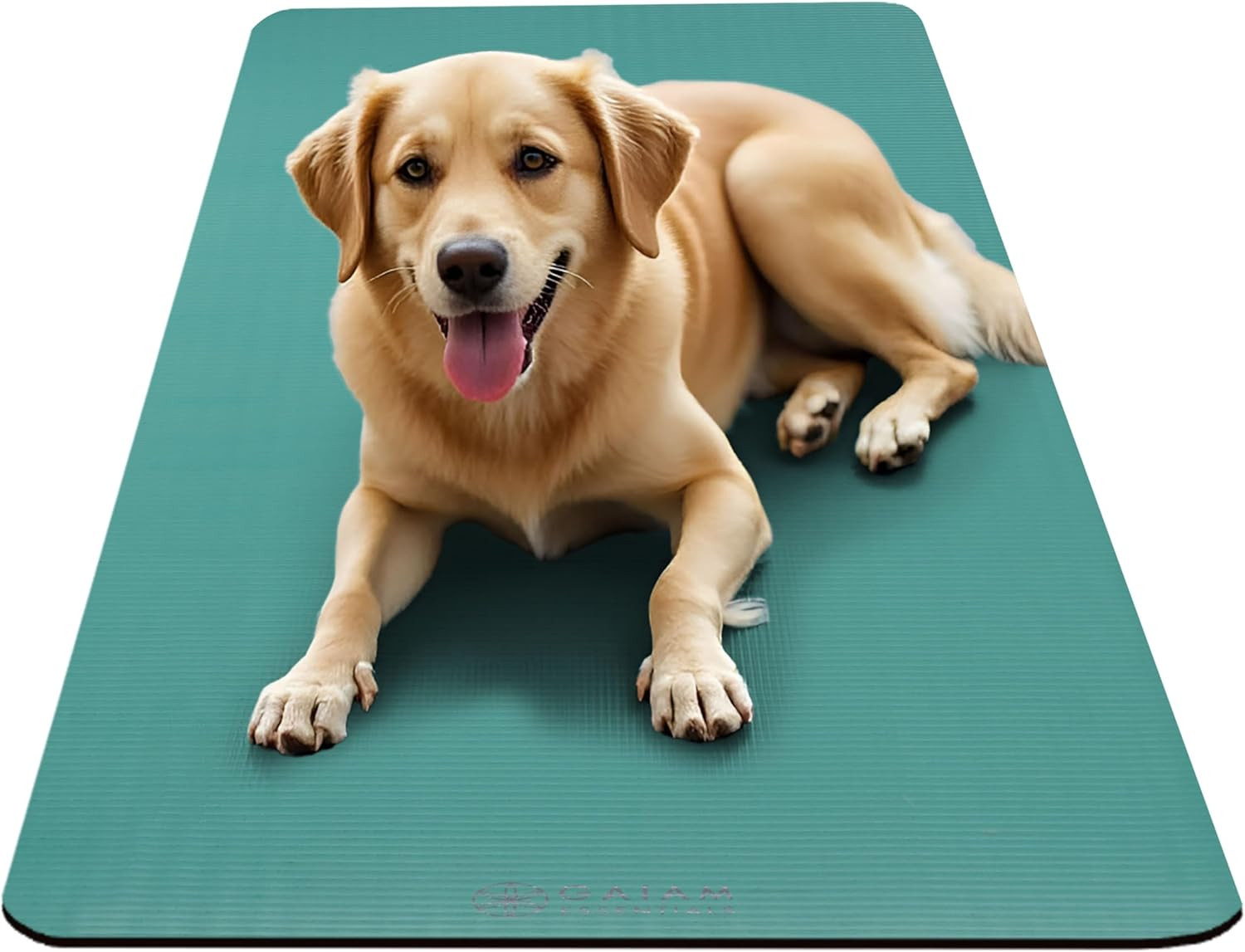 Gaiam Essentials Thick Yoga Mat 72X24 with Easy-Cinch Carrier Strap
